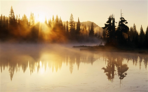 抖音有趣的文案句子