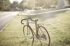 二年级精美句子摘抄大全