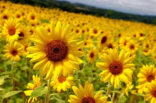 男生微信网名招女生喜欢的