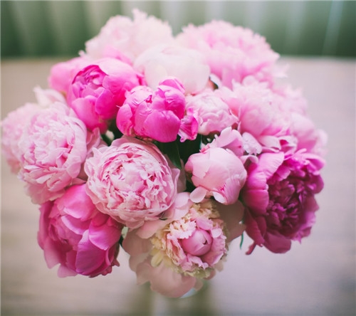 单身努力奋斗的句子