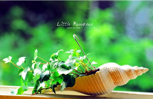 适合发风景照的文案