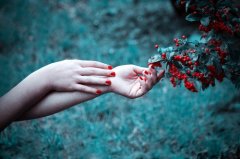 手抄报优美的句子段落