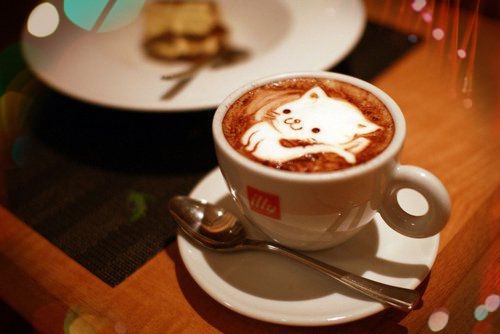 朋友圈文案笑死人的歪理句子