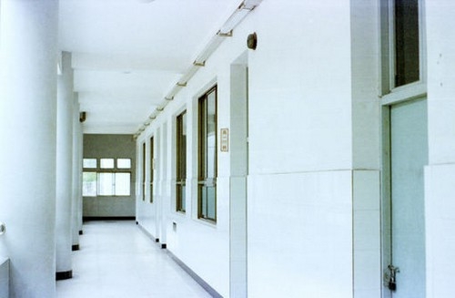 巴金的家精彩句子摘抄