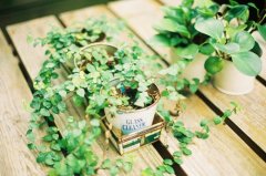 人生深度感悟的句子文案馆