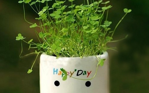 抖音自拍搞笑文案吸引人的句子