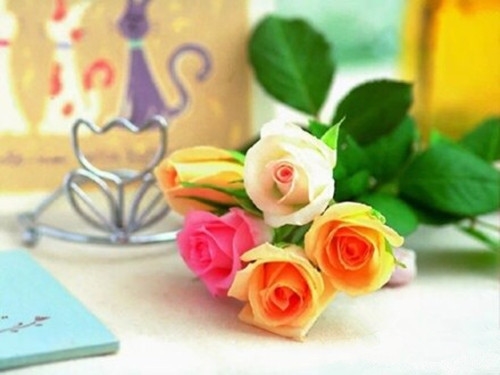 勤奋励志语录经典短句