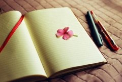 团队力量的重要性短语