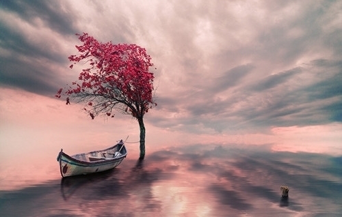 早上努力奋斗的句子发朋友圈