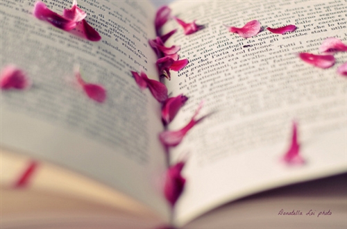 党史学习文案发圈的句子