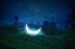 关于人生选择的精彩语句