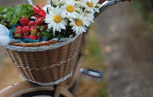 疫情期间送给大家的话
