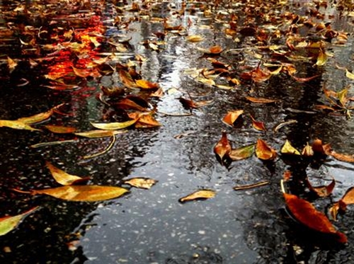 每天一场秋雨的心情说说