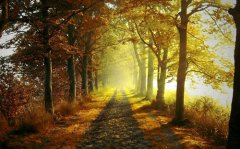 带程字有创意的网名