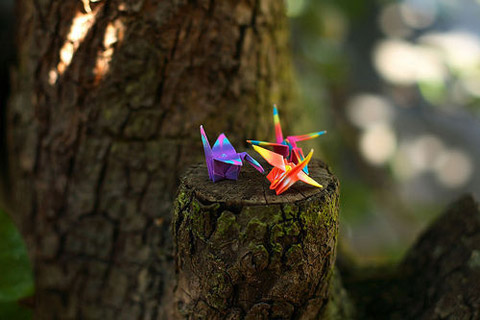 心寒想哭的短句子八个字