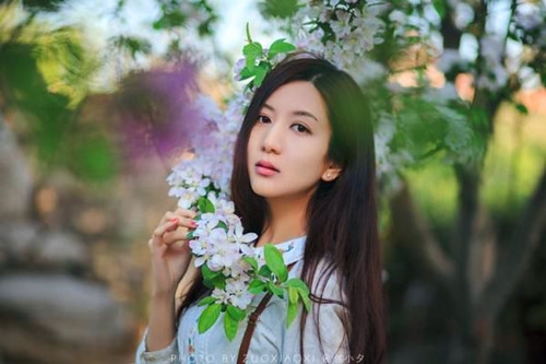 关于叶子的好词好句 关于叶子的好词好句