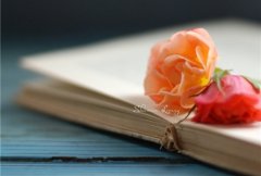 赞美学校的句子简短