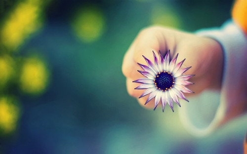 卫生计生十佳标语口号 卫生计生十佳标语口号