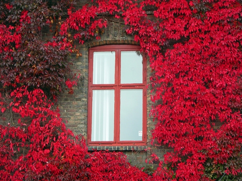 初心不改的励志句子