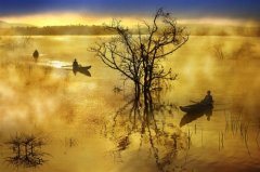 对父母愧疚感的朋友圈