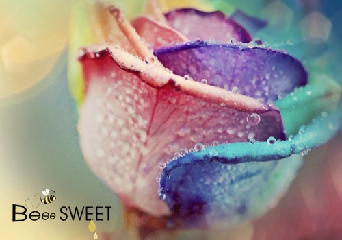 发朋友圈让人心疼到窒息句子