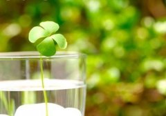 秋天转入冬天的美好词句