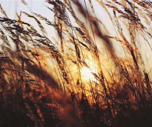 2022最火昵称网名