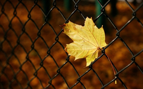 2022年四个字好听微信网名