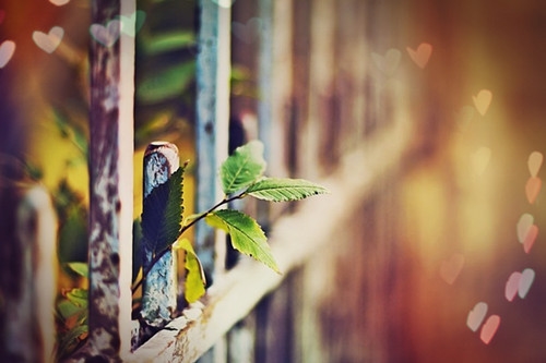 2022男士最火昵称网名