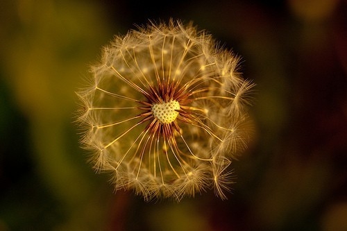 日久见人心的句子短句