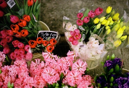 适合宝妈的抖音昵称两字