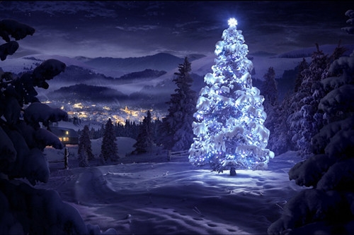 白天睡多了晚上睡不着的说说