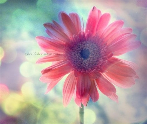 2022全网最火抖音昵称