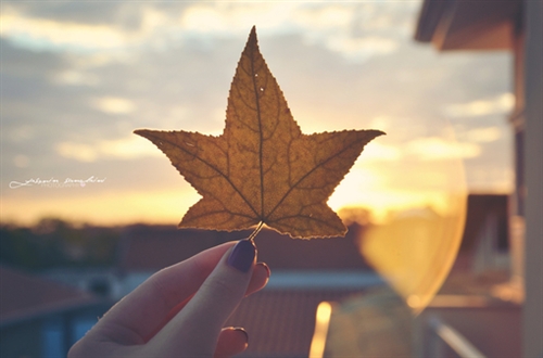 只有理科生才懂的情话