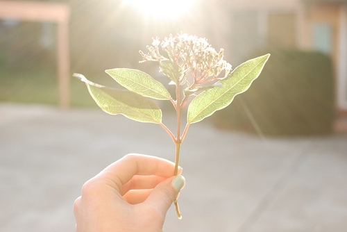 努力从来都不晚的句子 努力从来都不晚的句子