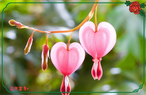 一眼心动的两个字网名昵称