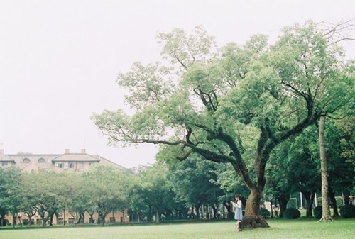 2022网名最新版的能复制的