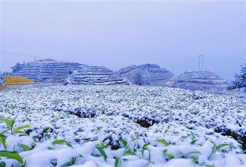 独一无二唯美带雪名字