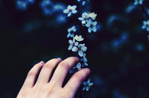 好听的网络名字霸气高冷