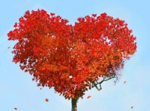 晒一家人朋友圈说说祝福句子