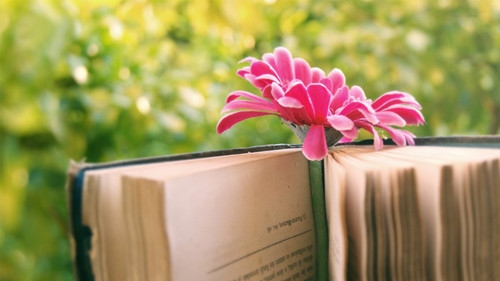 女性买衣服文案 女性买衣服文案