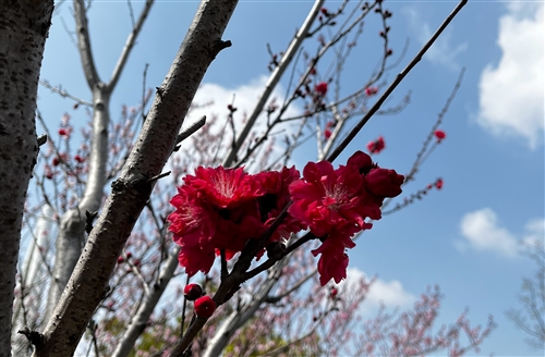 小区物业疫情防控宣传标语