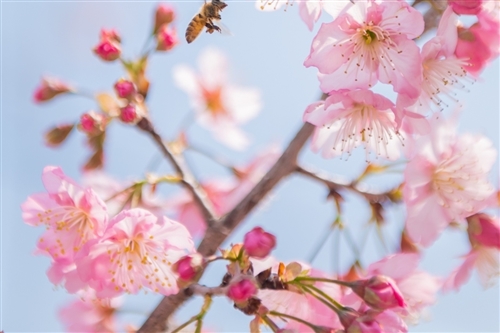 二胎男孩发朋友圈报喜文字
