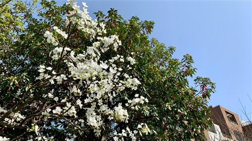 朋友圈最适合清明节写的句子