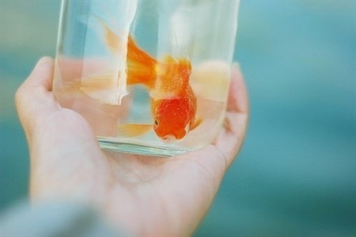 最新网名2022最新版女