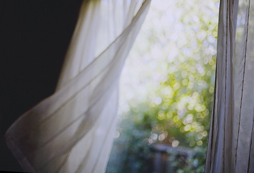 一辈子只爱一人的句子朋友圈