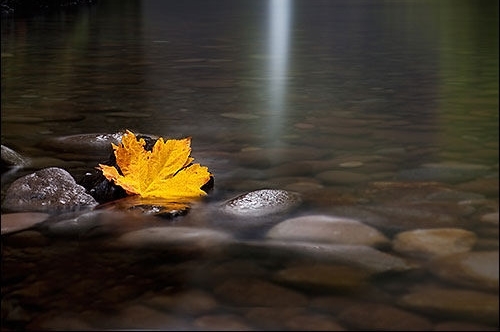 适合发朋友圈的佛家禅语(44句)