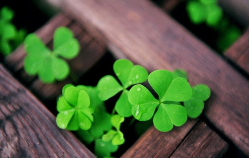 看照片回忆的感慨句子(精选37句)