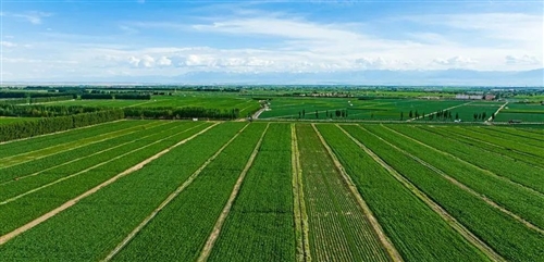 拍了蓝天白云怎么发朋友圈(精选57句)