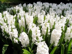 提醒自己不能哭的句子发朋友圈(35句)